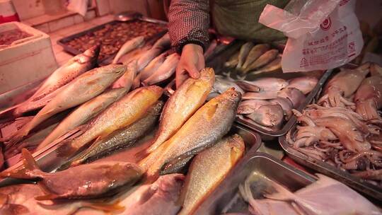 【镜头合集】超市水产市场买鱼