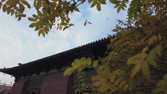 山西大同善化寺历史建筑