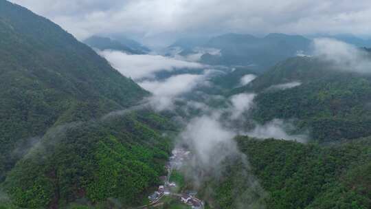 武夷山国家公园桐木关云海乡村