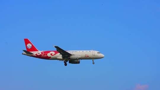 四川航空 飞机 航班 飞机降落 厦门高崎机场