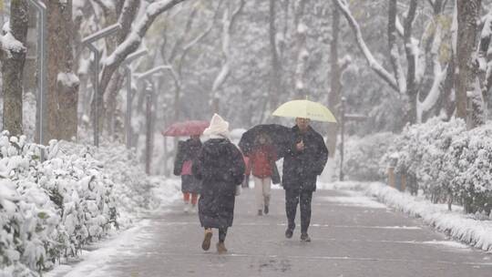 下大雪公园里散步的行人