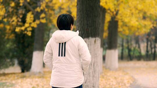 实拍北京金秋走在金黄色林间小路的女性背影