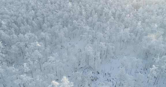 航拍内蒙古大兴安岭冰雪雾凇、雪凇