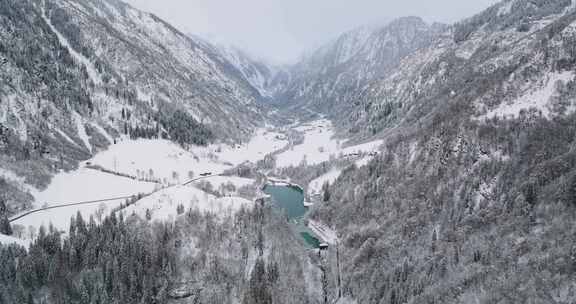 湖，雪，树木，克拉姆湖