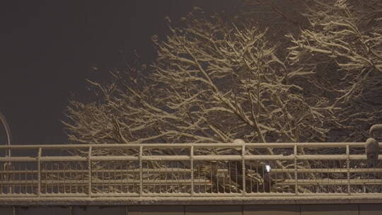 夜晚雪景空镜 冬天雪景