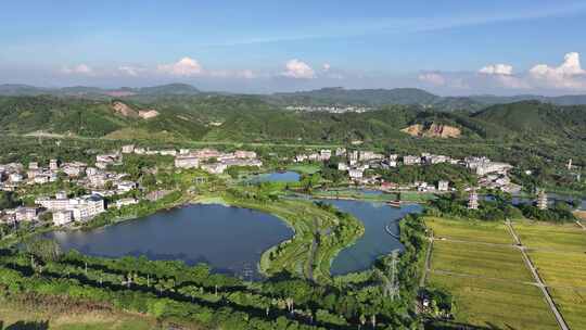 水稻秋收 美丽乡村 乡村振兴 五彩田园