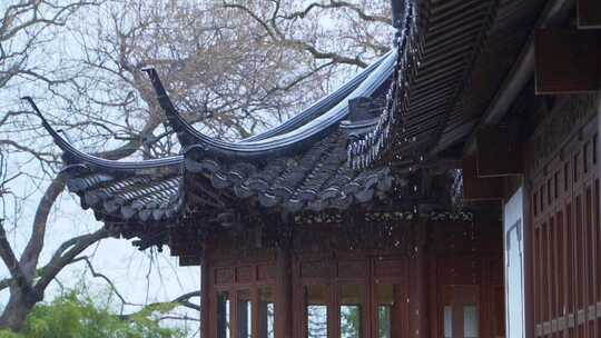 杭州西湖郭庄雨天风景