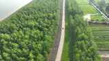 乡村公路航拍汽车行驶在农村小路丛林间跟拍高清在线视频素材下载