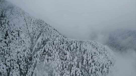 西岭雪山唯美冬日雪景4K视频素材模板下载