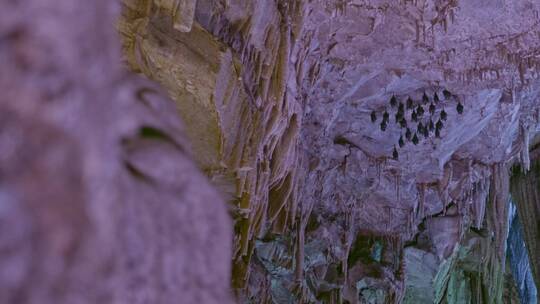 高清四川乐山四溪沟溶洞唯美自然风光蝙蝠视频素材模板下载