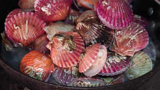 煮制小红贝处理小海鲜扇贝