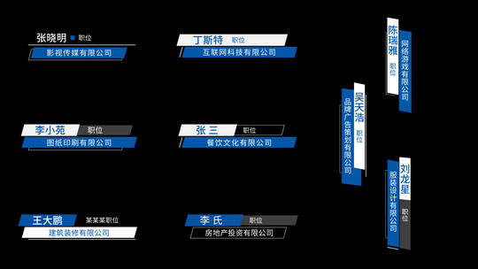 企业人物访谈包装 简洁字幕人名条