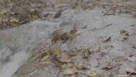 雨后清泉溪流LOG