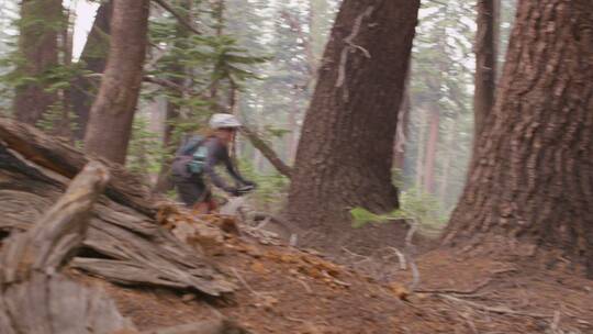 自行车手在森林里骑行视频素材模板下载