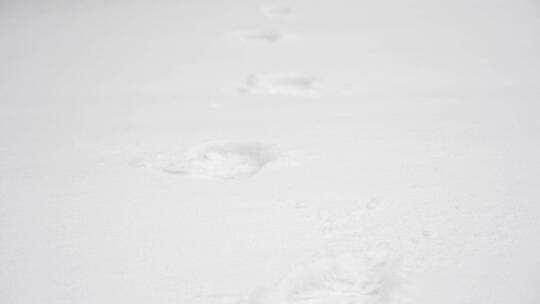 雪地脚步脚印特写素材视频素材模板下载