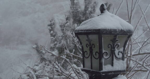 山东泰山风景区雪景下雪