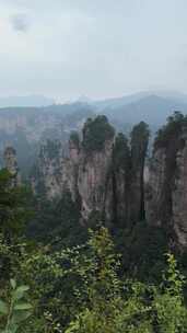 张家界武陵源景区黄石寨五指峰景点4k