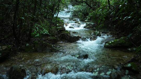 高清4K降水雨季山泉瀑布流水升格视频素材