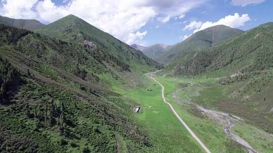 仓家峡 林场 航拍 森林 石山