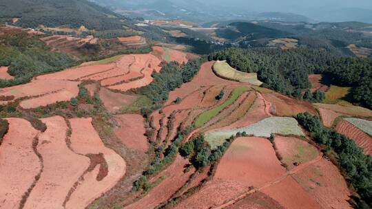 云南旅游乡村振兴风光东川红土地