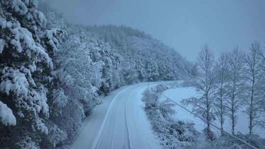 冬天的林海雪原