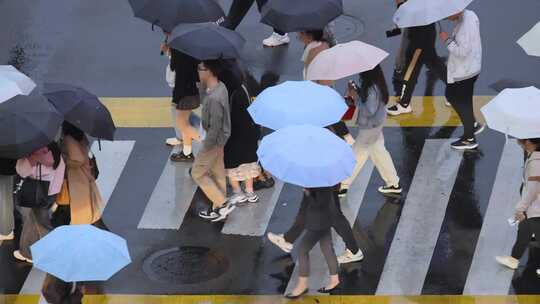 雨天街道路口斑马线人群过马路