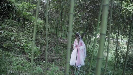 汉服妹子小姐姐拍摄素材小树林小竹林视频素材模板下载