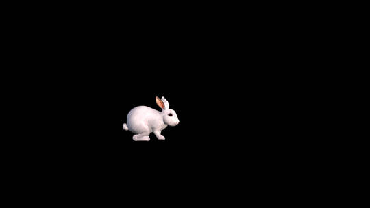 兔子 田园兔视频素材模板下载