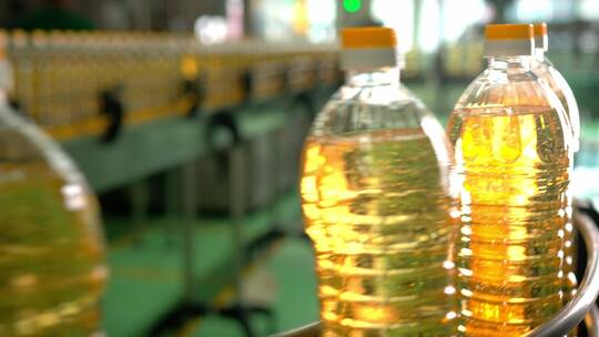 生产线上移动瓶子中的葵花籽油视频素材模板下载