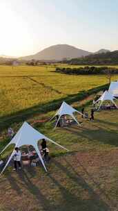 田野边户外露营场景