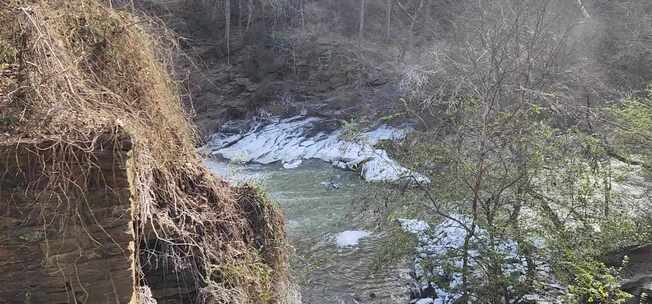 森林河流小溪岩石