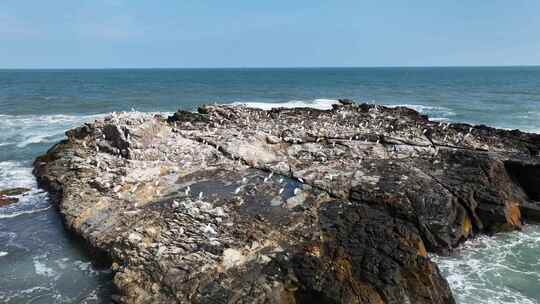 白鹤礁石海浪