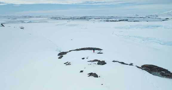 南极雪山斜坡上的旅游迅猎兽
