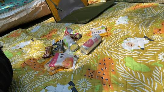 济南森林公园，迪卡侬野餐、露营、户外装备视频素材模板下载