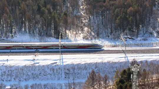 中国黑龙江高铁列车行驶在雪原森林