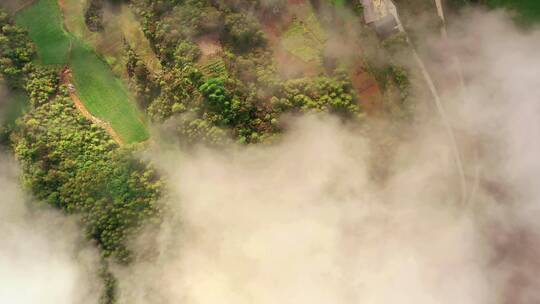 4k航拍高山峡谷云海