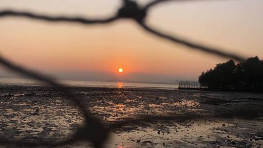 深圳湾日出摄影