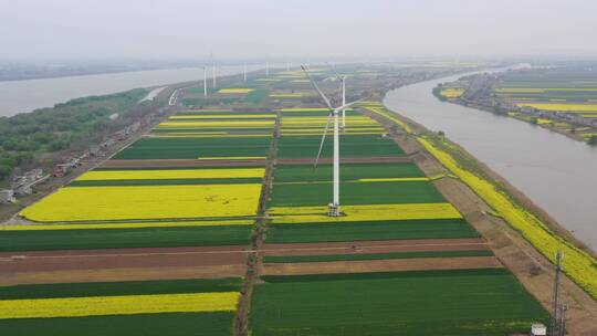 九江市江洲镇春天的风景航拍视频视频素材模板下载