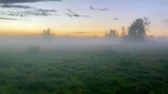 树林晨雾日出