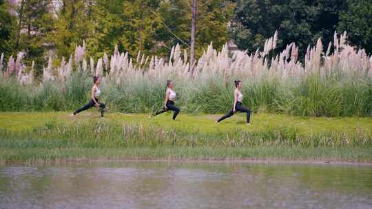 湖边瑜伽 湿地公园 女子在公园瑜伽