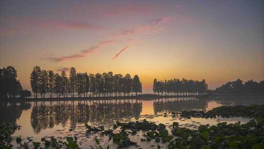 武汉东湖风景区夏季日出风光