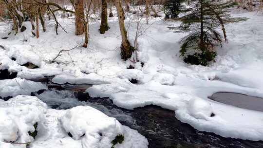 森林被大雪覆盖冰雪逐渐融化形成小溪流