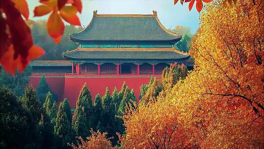 金秋秋分立秋秋天深秋秋景大自然风景风光唯