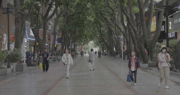 惠州水东街街景