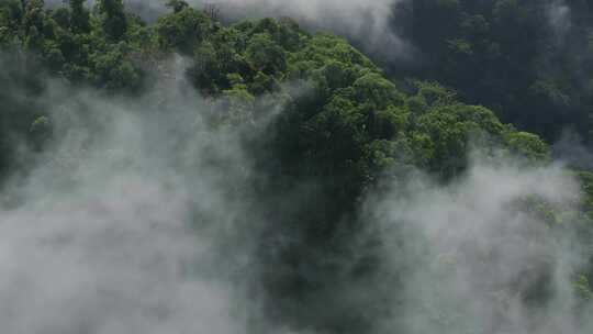 云南仙境云雾缭绕原始森林航拍旅游