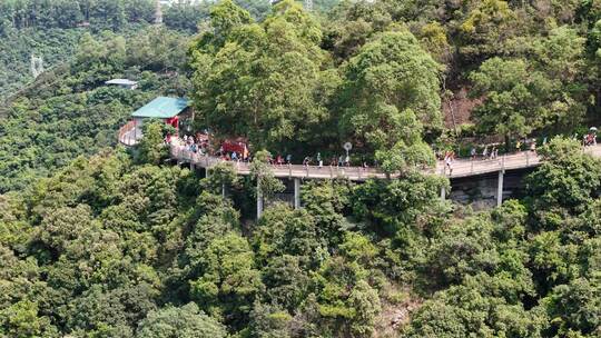 广东观音山国家森林公园第十二届登山大赛