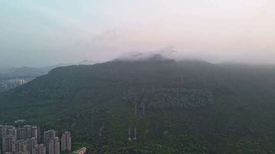 延时深圳地标山塘朗山云雾日出云海