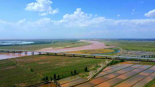 河道河滩-黄河大桥-平原水稻稻田视频素材模板下载