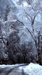 唯美意境，自己的时光里拍自己喜欢的风景