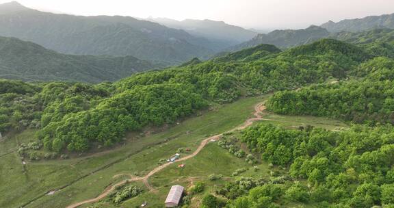 高山草原牛羊牧业森林氧吧大自然风光